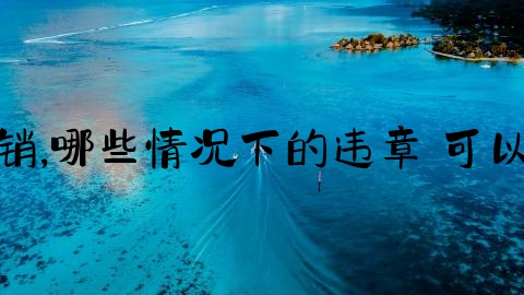 交通事故立案怎么撤销,哪些情况下的违章 可以申诉撤销处罚呢英语